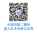 中國網(wǎng)-二維碼_01