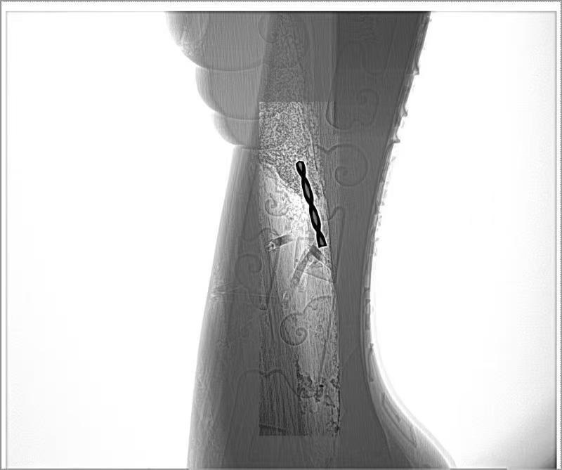 微信圖片_2025-09-04_091311_950