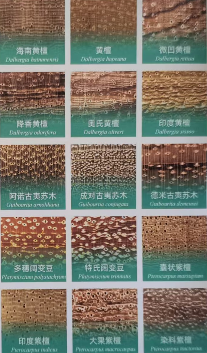 微信圖片_20250908132135_488_68